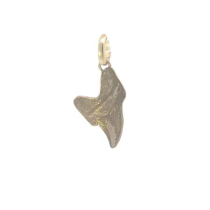 10K Yellow Gold Medium Shark Tooth Pendant