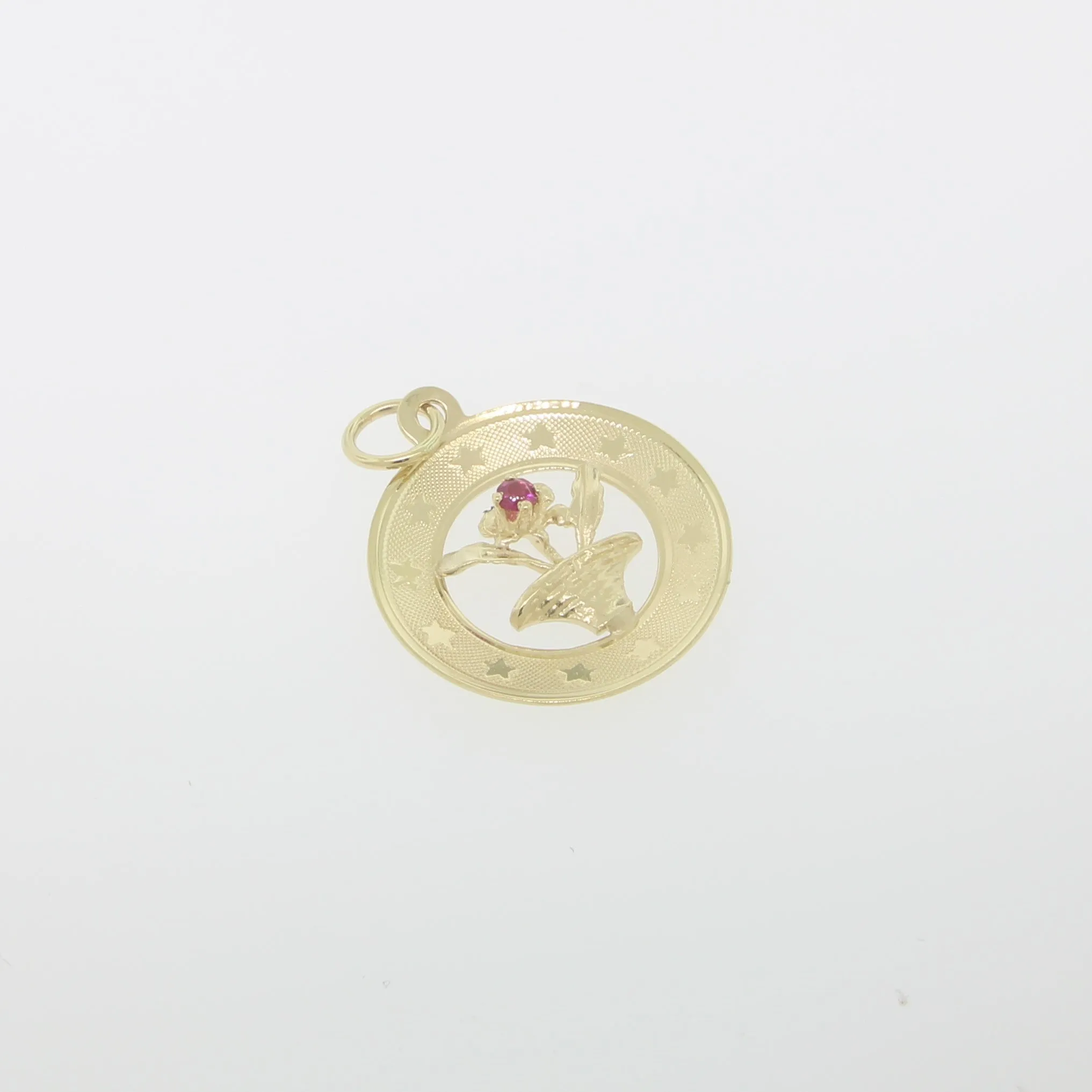 14K Yellow Gold Flower Pot with Red Stone in Circular Frame (Estate)