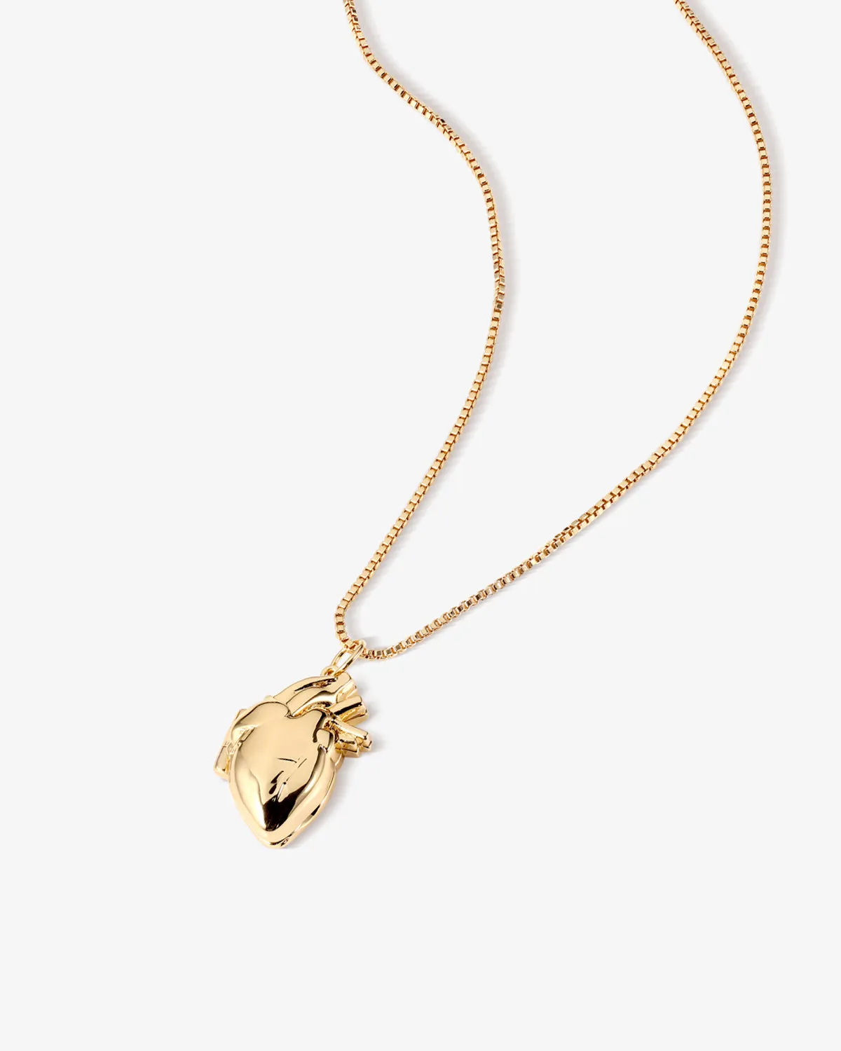 Anatomical Heart Locket Pendant