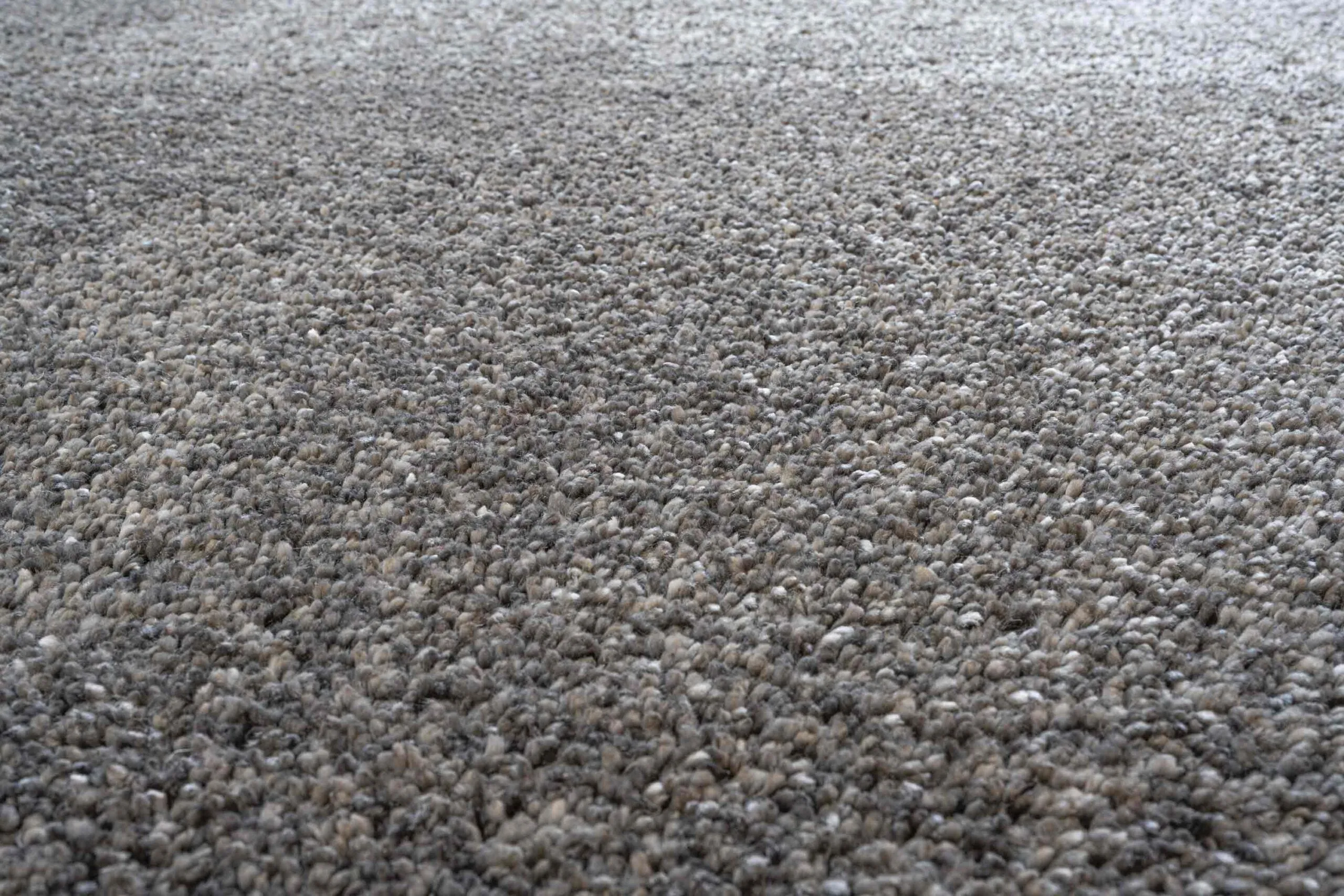 Coral Rug 0240001 3232