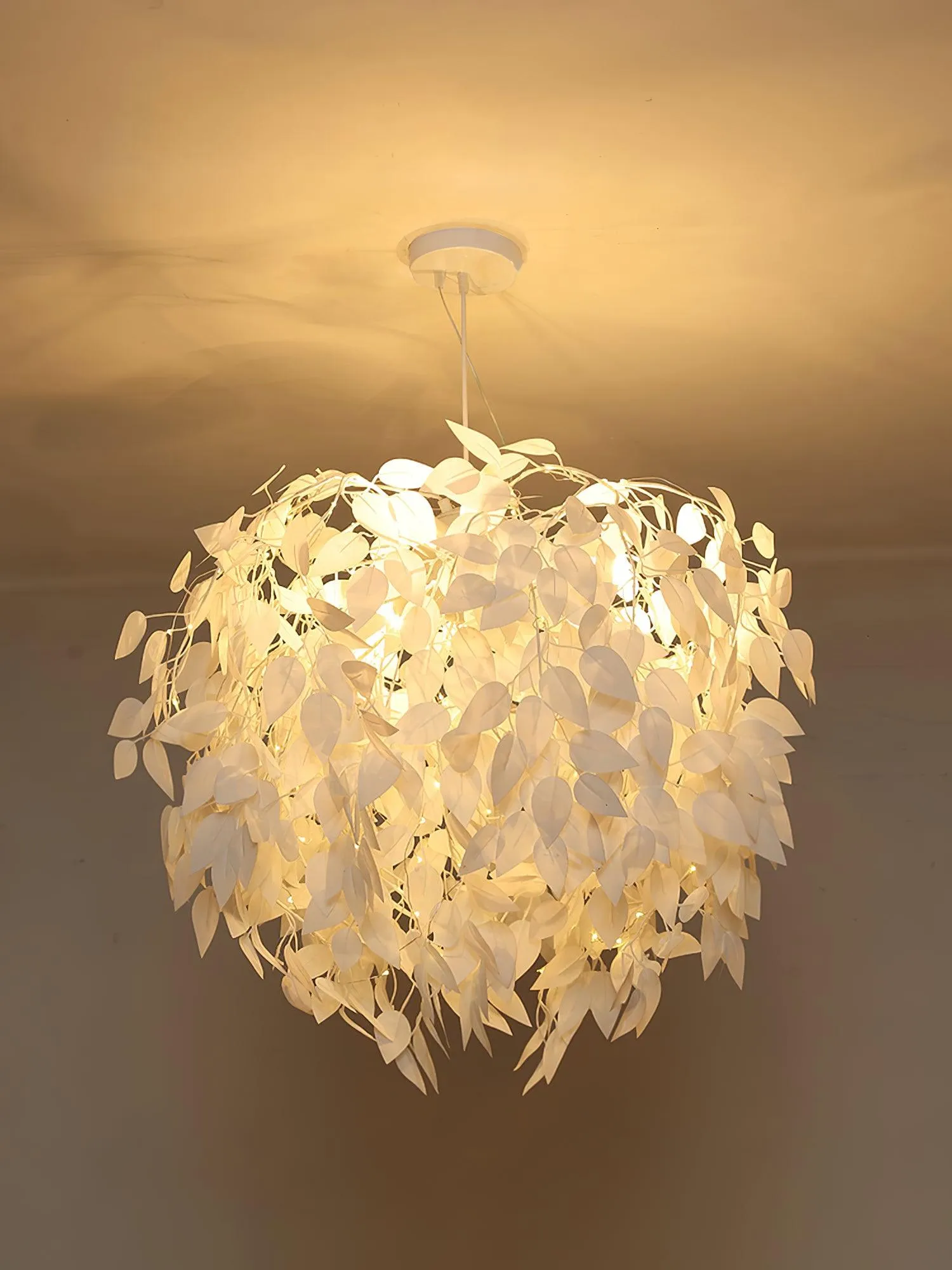 Edela Novelty Pendant Light