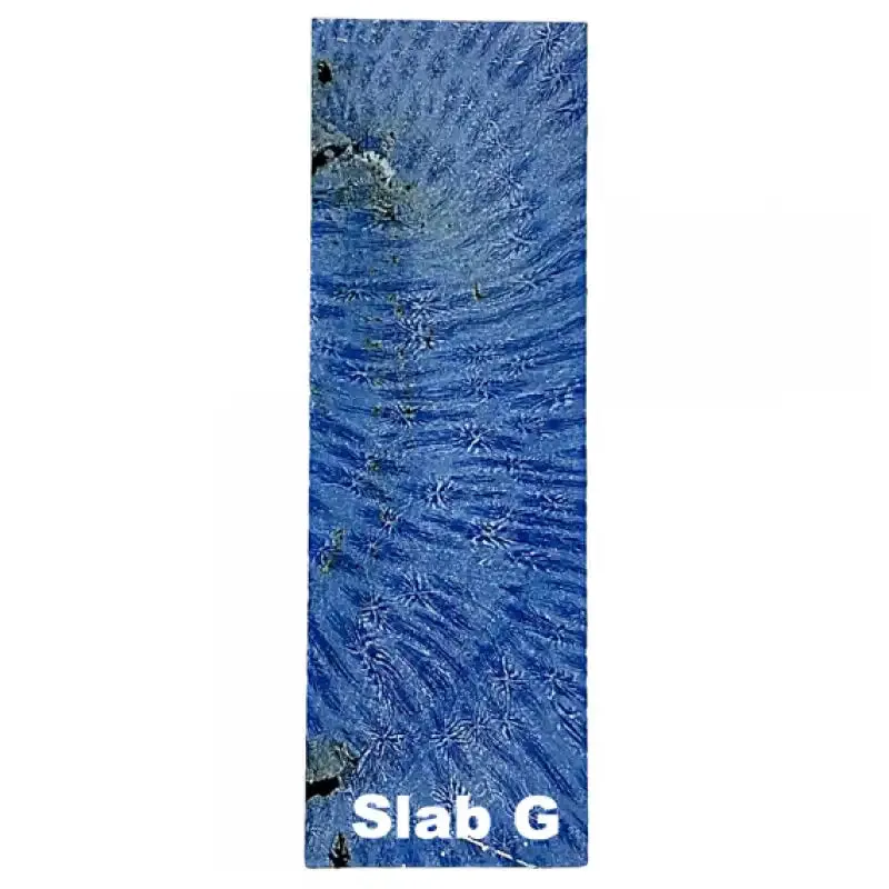 Raffir Fossil Brain Coral- BLUE