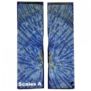 Raffir Fossil Brain Coral- BLUE