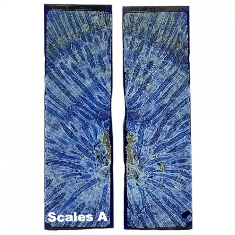 Raffir Fossil Brain Coral- BLUE