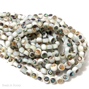 White Troca Shell with Abalone Shell Inlay Round 6mm (8-Inch Strand)